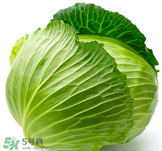 8月份吃什么蔬菜？八月份適合吃什么蔬菜？