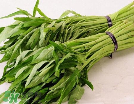 通心菜不能和什么一起吃?通心菜和什么食物相克? 通心菜不能和什么一起吃?通心菜和什么食物相克?