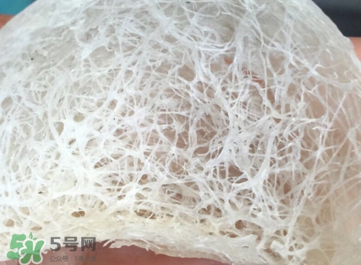 馬來西亞燕窩好還是印尼好？馬來西亞燕窩和印尼燕窩區(qū)別