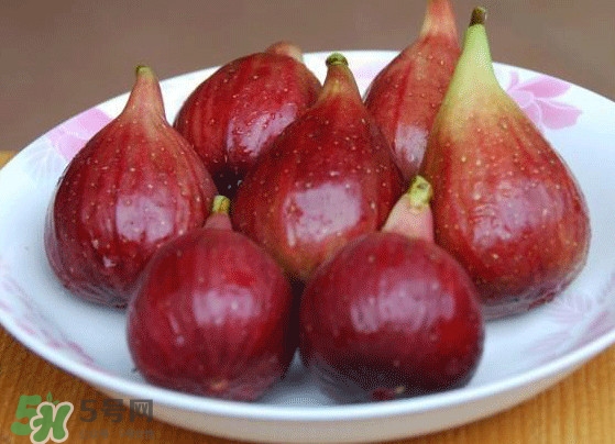 新鮮無花果怎么保存？無花果能保存多久？