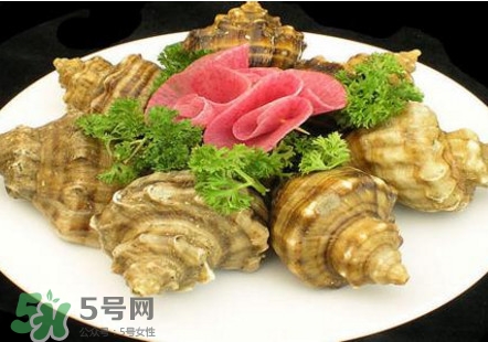 海螺可以冷凍嗎？海螺放冰箱能保存多久