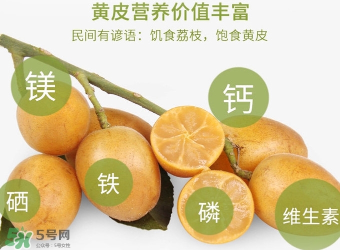 黃皮果是小金橘嗎？黃皮果和小金橘的區(qū)別