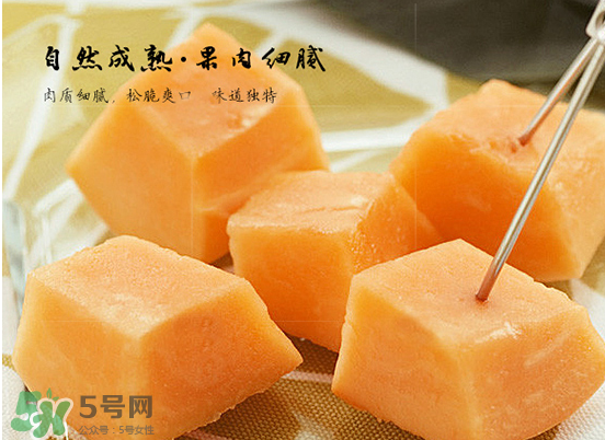 西州蜜瓜什么季節(jié)熟？西州蜜瓜幾月份成熟？