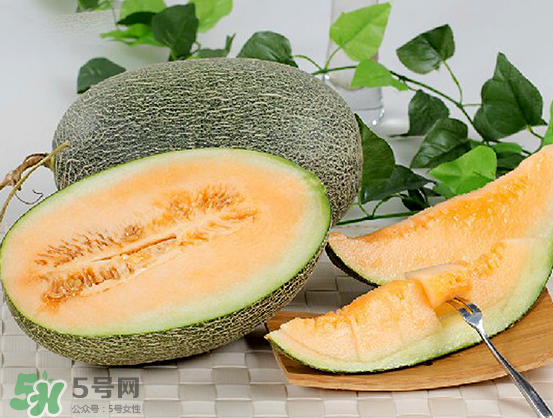 西州蜜瓜什么季節(jié)熟？西州蜜瓜幾月份成熟？