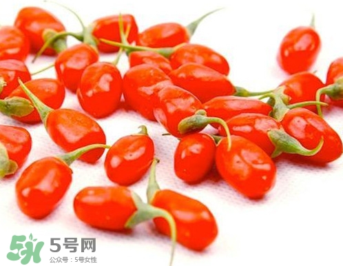 枸杞鮮果能吃嗎？鮮枸杞好還是干枸杞好