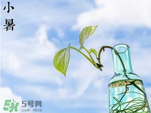 小暑是頭伏嗎？小暑是初伏嗎？