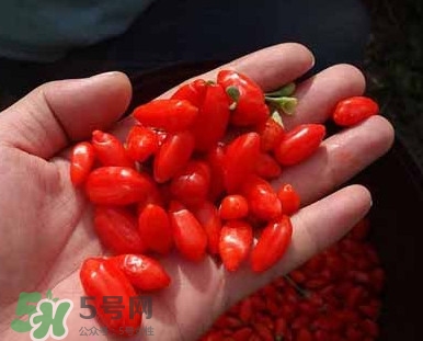 枸杞鮮果屬水果嗎？枸杞鮮果什么味道