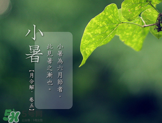 2017年小暑會(huì)下雨嗎？小暑這一天下雨好嗎？