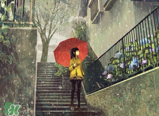 2017年小暑會(huì)下雨嗎？小暑這一天下雨好嗎？