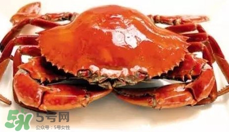 石夾紅螃蟹什么時(shí)候有？石夾紅螃蟹什么時(shí)候最肥