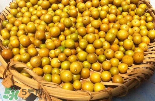 黃皮果是小金橘嗎？黃皮果和小金橘的區(qū)別