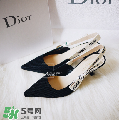 dior貓跟鞋多少錢？dior貓跟鞋價(jià)格
