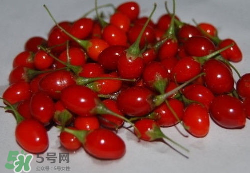 枸杞鮮果怎么吃？吃枸杞鮮果有什么好處