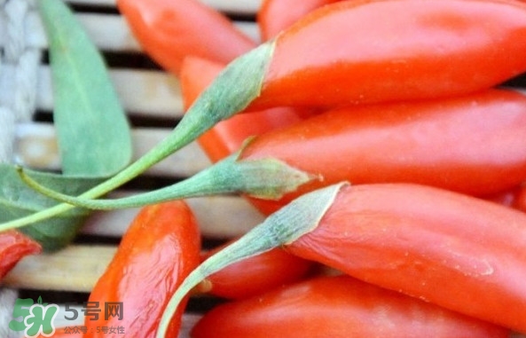 青海和寧夏枸杞哪個好？青海枸杞和寧夏枸杞的區(qū)別