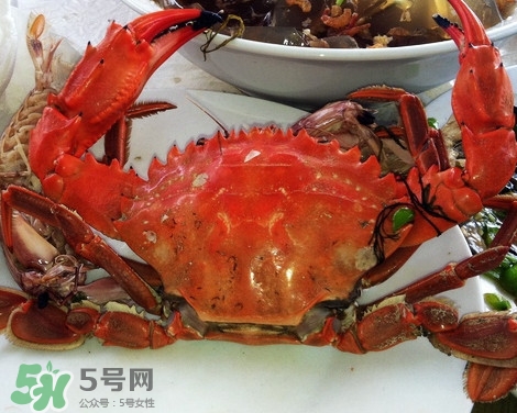 石夾紅螃蟹什么時(shí)候有？石夾紅螃蟹什么時(shí)候最肥