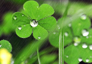 2017年小暑會(huì)下雨嗎？小暑這一天下雨好嗎？
