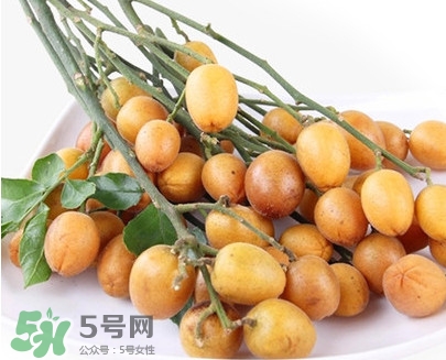 黃皮果是小金橘嗎？黃皮果和小金橘的區(qū)別