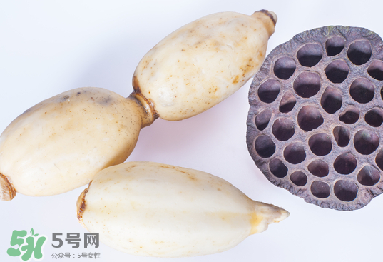 蓮蓬和蓮藕一樣嗎？蓮蓬和蓮藕的區(qū)別