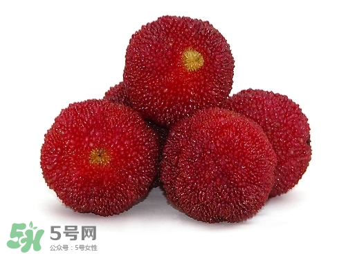 新鮮楊梅怎么保存得更長時間？新鮮楊梅能保存幾天？