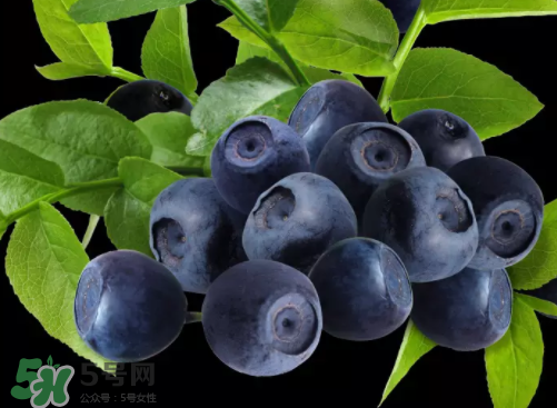 新鮮藍(lán)莓可以直接吃嗎？新鮮藍(lán)莓怎么吃才好吃？