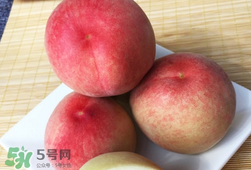 脆桃是什么品種？脆桃什么時候上市