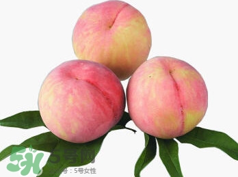 脆桃有什么營養(yǎng)？脆桃的營養(yǎng)價值