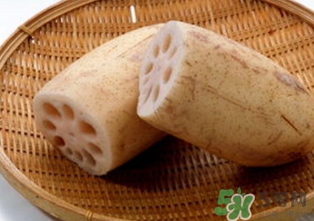 紅蓮藕和白蓮藕哪個(gè)好？紅蓮藕和白蓮藕區(qū)別