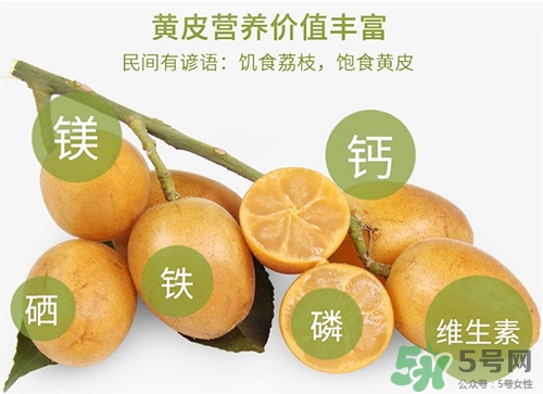 孕婦可以吃黃皮嗎？孕婦吃黃皮有什么好處