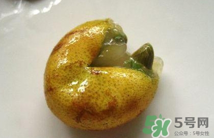 黃皮果核能治療什么??？黃皮核的功效與作用