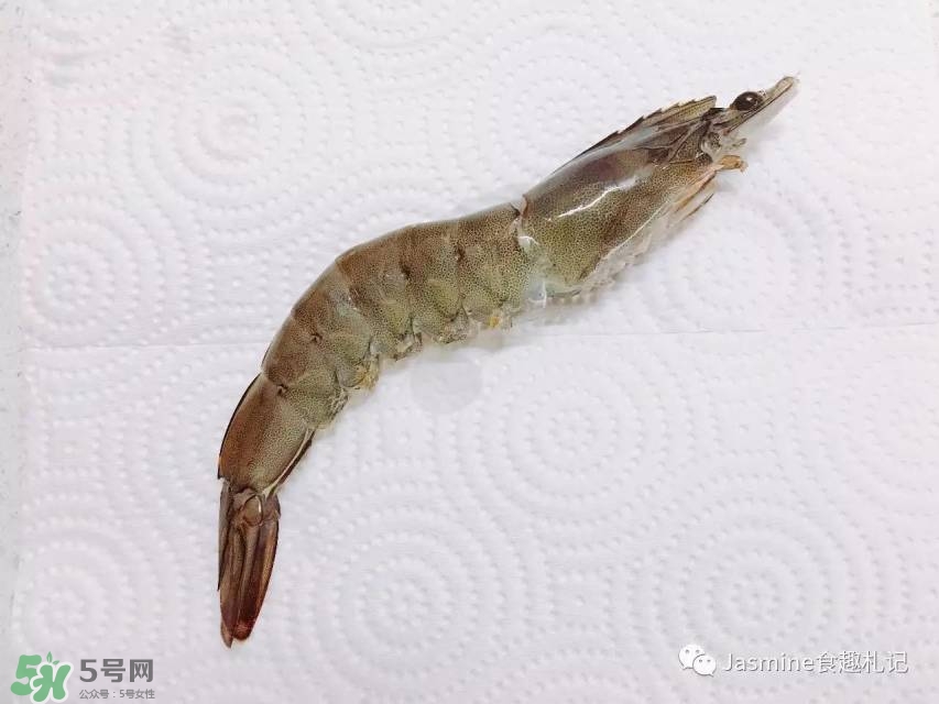 活基圍蝦怎么保存？活基圍蝦怎么處理干凈？
