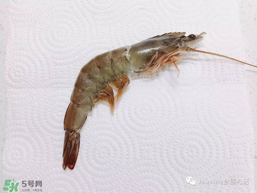 活基圍蝦怎么保存？活基圍蝦怎么處理干凈？