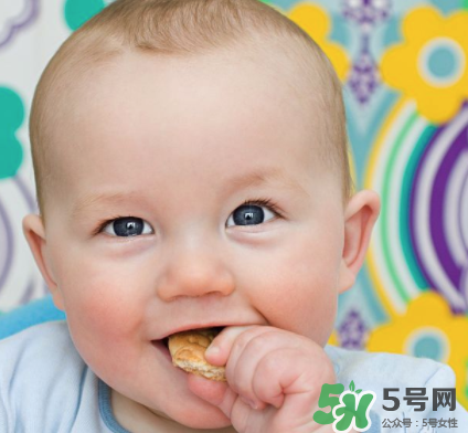 磨牙餅干吃不完怎么辦？磨牙餅干吃到多大？