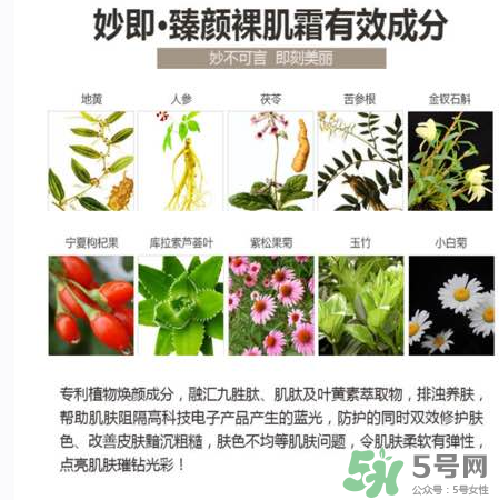 妙即素顏霜怎么樣？妙即素顏霜多少錢一盒？