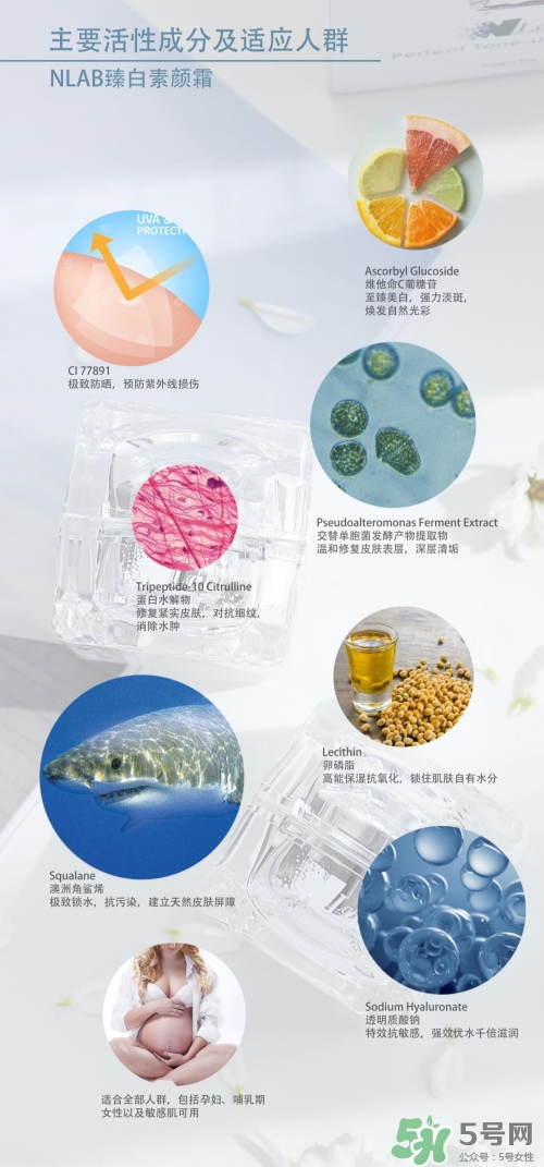 澳洲nlab素顏霜怎么用？nlab素顏霜孕婦可以用嗎