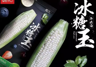 冰糖玉米?是轉(zhuǎn)基因嗎？冰糖玉米多少錢一斤？