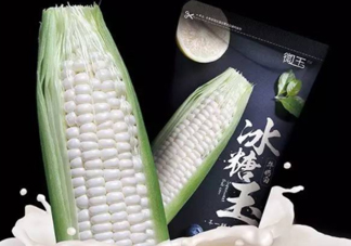 微玉冰糖玉米可以生吃嗎？微玉冰糖玉米安全嗎？