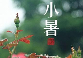 小暑種什么菜？小暑為什么要種牽?；?？
