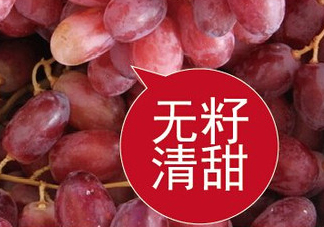 ?無籽紅提?孕婦能吃嗎吃嗎？孕婦能不能吃無籽紅提？