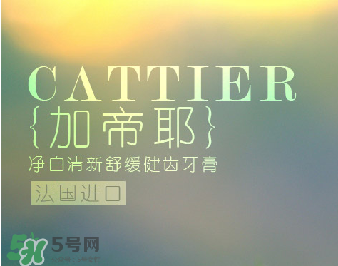 cattier加帝耶是什么牌子？法國(guó)cattier什么檔次？