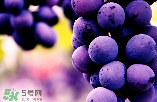 夏黑葡萄多少錢一斤？夏黑葡萄怎么挑選？