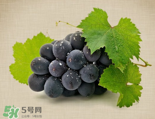 夏黑葡萄多少錢一斤？夏黑葡萄怎么挑選？