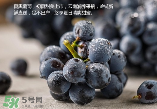 夏黑葡萄皮能吃嗎？夏黑葡萄怎么吃？