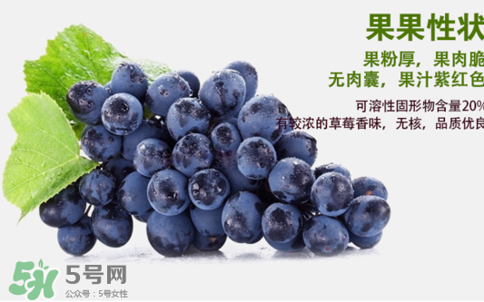 夏黑葡萄怎么洗？夏黑葡萄怎么洗才干凈？