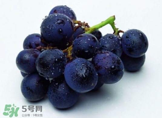 巨峰葡萄和葡萄有什么區(qū)別？巨峰葡萄是轉(zhuǎn)基因的嗎？