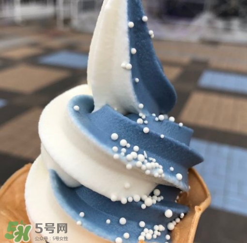 鯨鯊冰淇淋好吃嗎？鯨鯊冰淇淋多少錢？