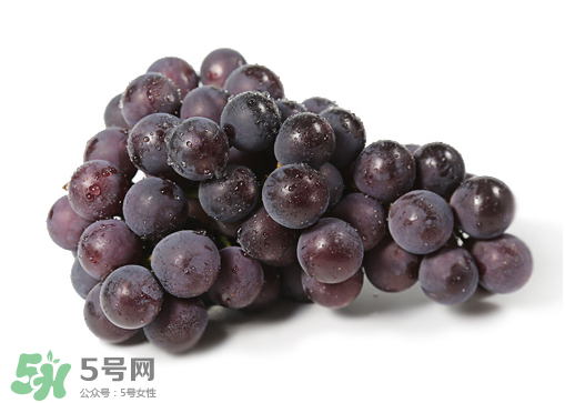 巨峰和夏黑哪個好吃？哪個貴？有什么區(qū)別？