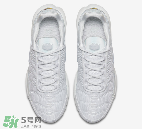 nike air max plus ice blue多少錢？耐克氣墊plus冰藍(lán)配色價格
