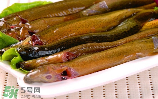 鰻魚是泥鰍嗎？鰻魚與泥鰍什么區(qū)別
