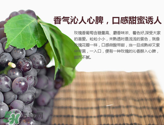 玫瑰香葡萄孕婦能吃嗎？孕婦可以吃玫瑰香葡萄嗎？