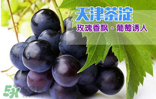 玫瑰香葡萄多少錢(qián)一斤？玫瑰香葡萄多少錢(qián)一斤2017？